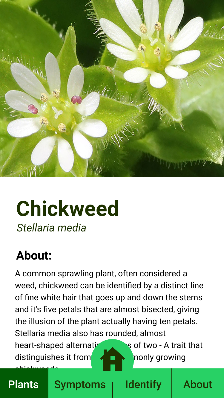 Flora Finder App Plant